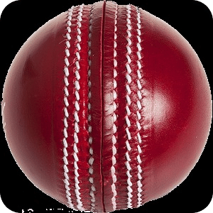 Relaso Cricket: World Cup 2015