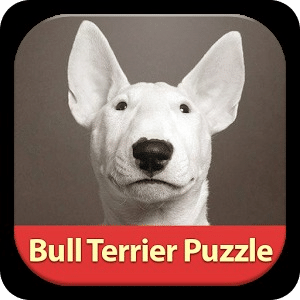Bull Terrier: Find Differences