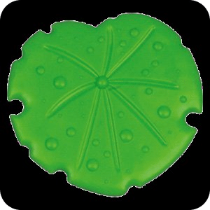 LilyPad