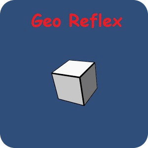 Geo Reflex