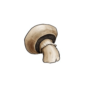 Mushroom Mania