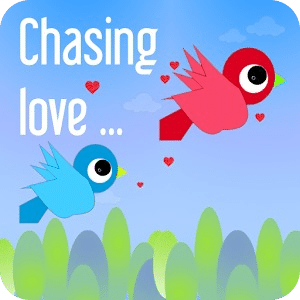 Chasing Love