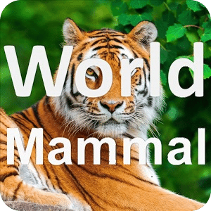 World Mammal - Animal Quiz