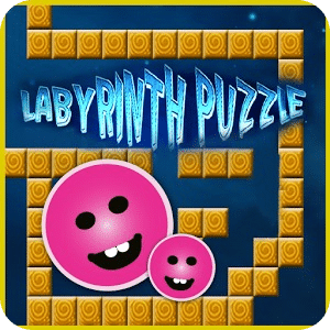 Labyrinth Puzzle