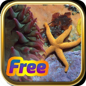 Free Under the Sea Puzzles