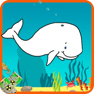 Migaloo the White Whale