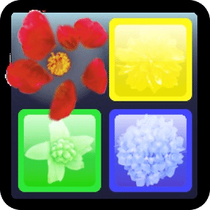 Flick and Vanish Puzzle Game