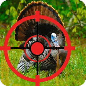 Turkey Hunter