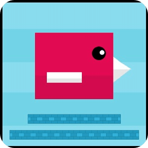 Mr Flap Jump