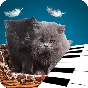 3D Naughty Kitten Cat Piano