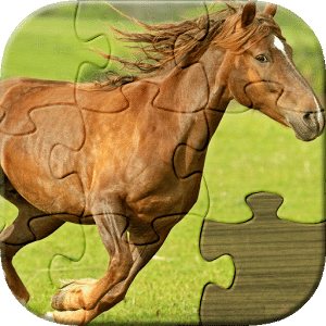 Horses Jigsaw Puzzles for Kids