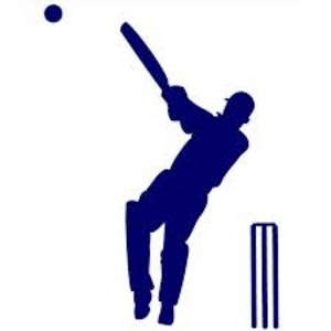 International Cricket