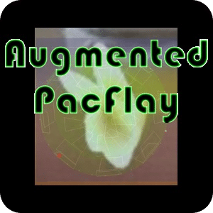 Augmented PacFlay