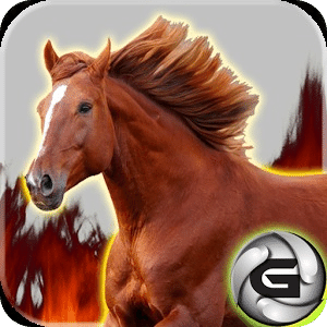 Horse Rush 3D