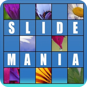 Slide Mania