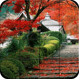 Puzzle - Nature magic