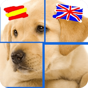 Spanish & Puzzles: Animals