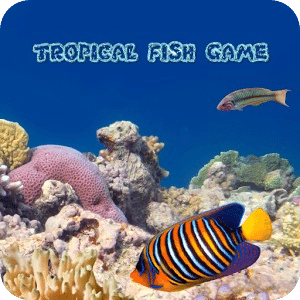 Tropical Fish Game