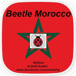 Beetle Morocco Game