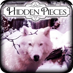 Hidden Pieces: Winterland