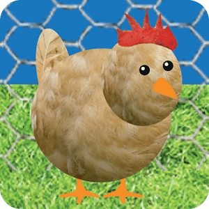 Chicken Pet Game