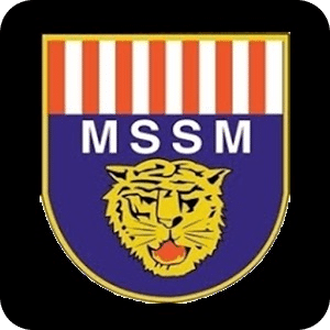 MSSM UPDATES