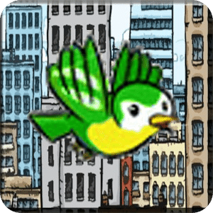 city bird