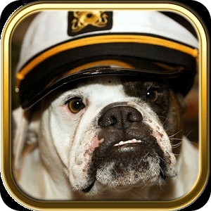 Free Bulldog Puzzle Games