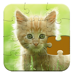 Cute Cat Puzzle