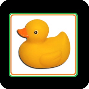 Rubber Ducky Hunt Baby Toddler