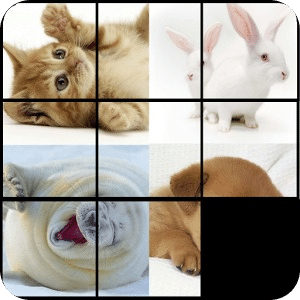 Sliding Puzzle Cats