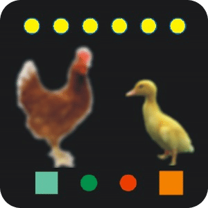 Chicken vs Duck Bluetooth Duel