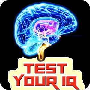 Test Your Best IQ