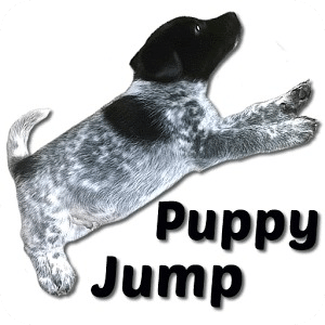 Puppy Jump