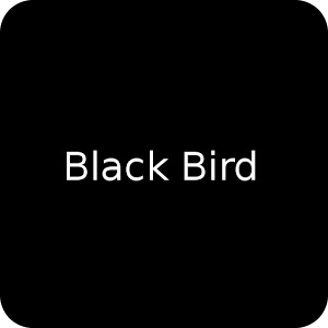 Black Bird