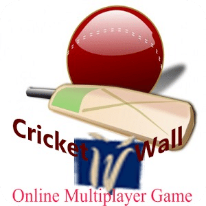 Multiplayer Cricket Game