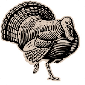 TackleBox Turkey Call Free