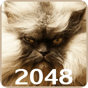 20 48 Cats Puzzle with mPOINTS