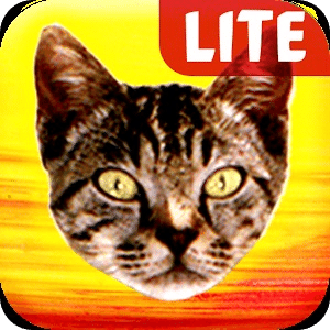 Pussy Malone Lite