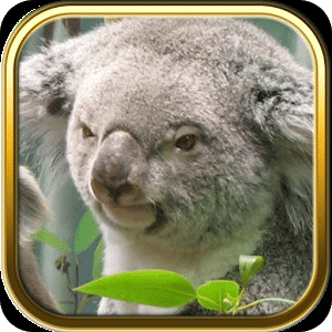 Free Australia Puzzle Games