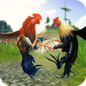 Rooster Wild Fighting : Farm Battle Run