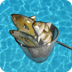 Eco Fishing - Pesca ecológica