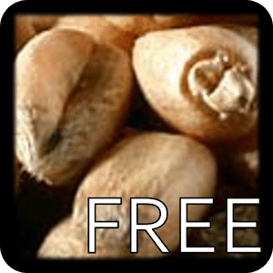 Mancala Vari Free