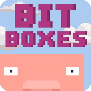 Bit Boxes