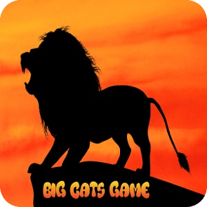 Free Big Cats Game