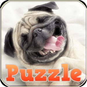 Puzzle Game, Cute Dog