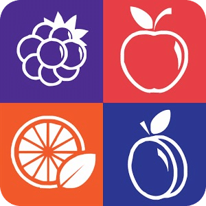 Fruits: move and collect!