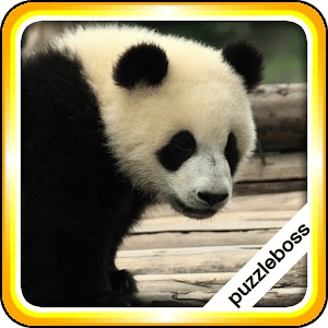 Panda Jigsaw Puzzles