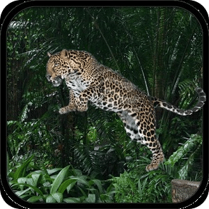 Wild Leopard Simulator 3D