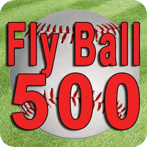 Fly Ball 500